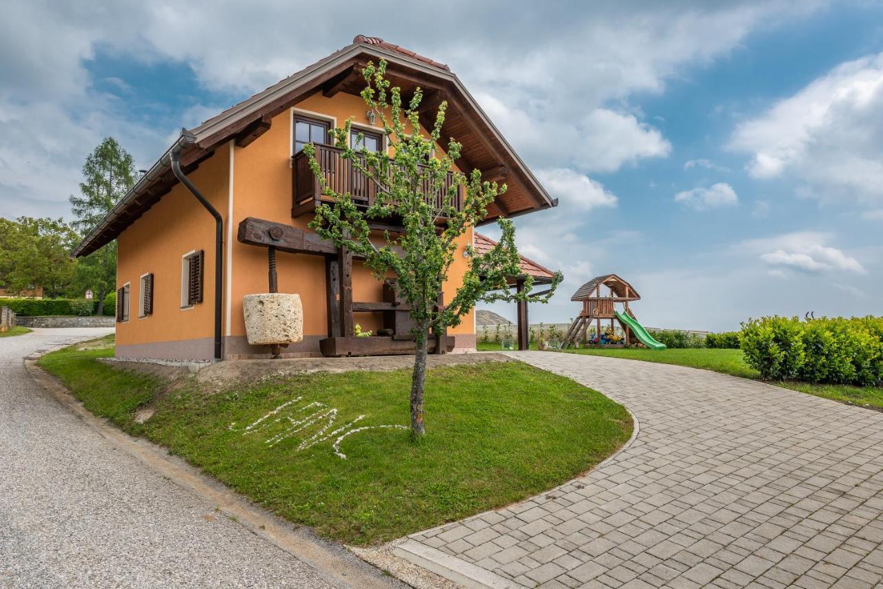 Villa Wineyard Getaway House à Sevnica Extérieur photo