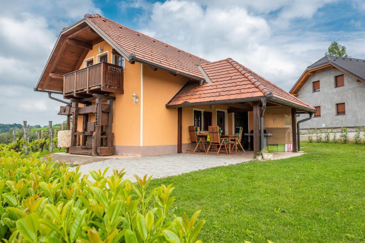 Villa Wineyard Getaway House à Sevnica Extérieur photo